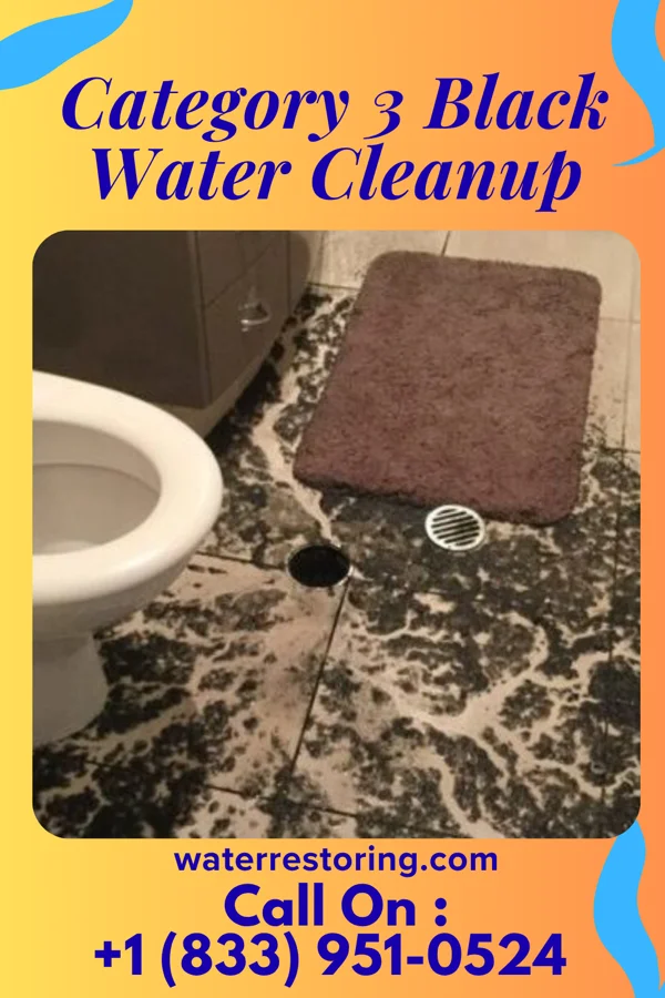 Category 3 Black Water Cleanup in Elroy, WI