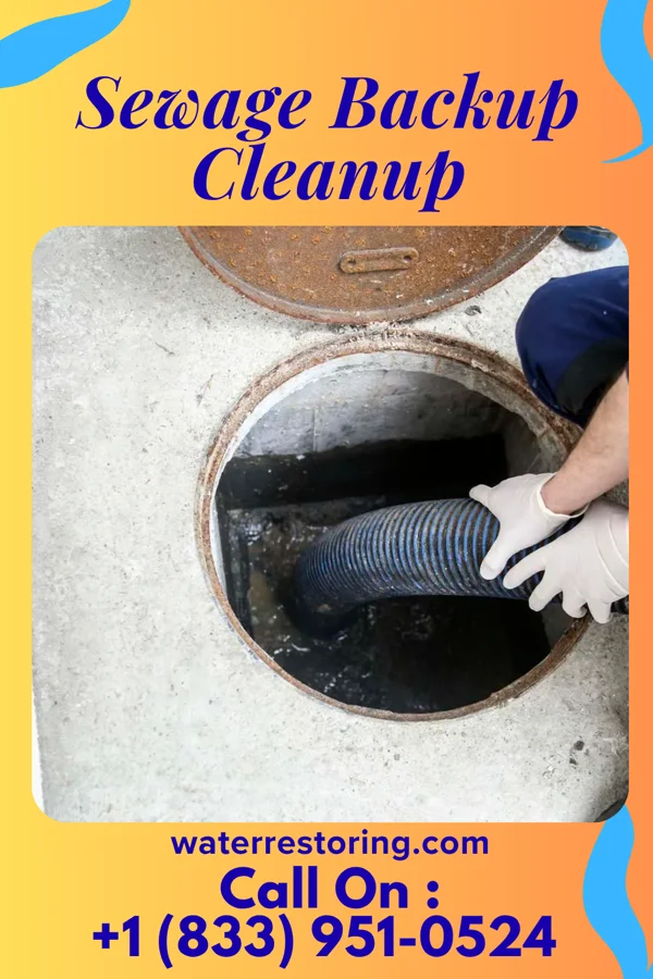 Sewage Backup Cleanup in Elroy, WI